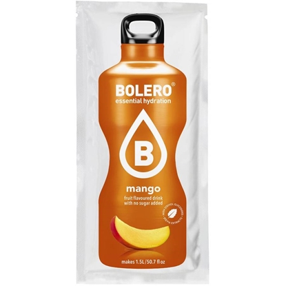 Picture of BOLERO FRUIT DRINK MANGO